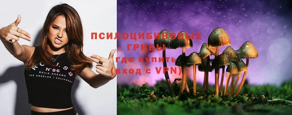 кокаин премиум Белокуриха